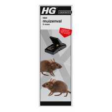 HGX MUIZENVAL 2 ST